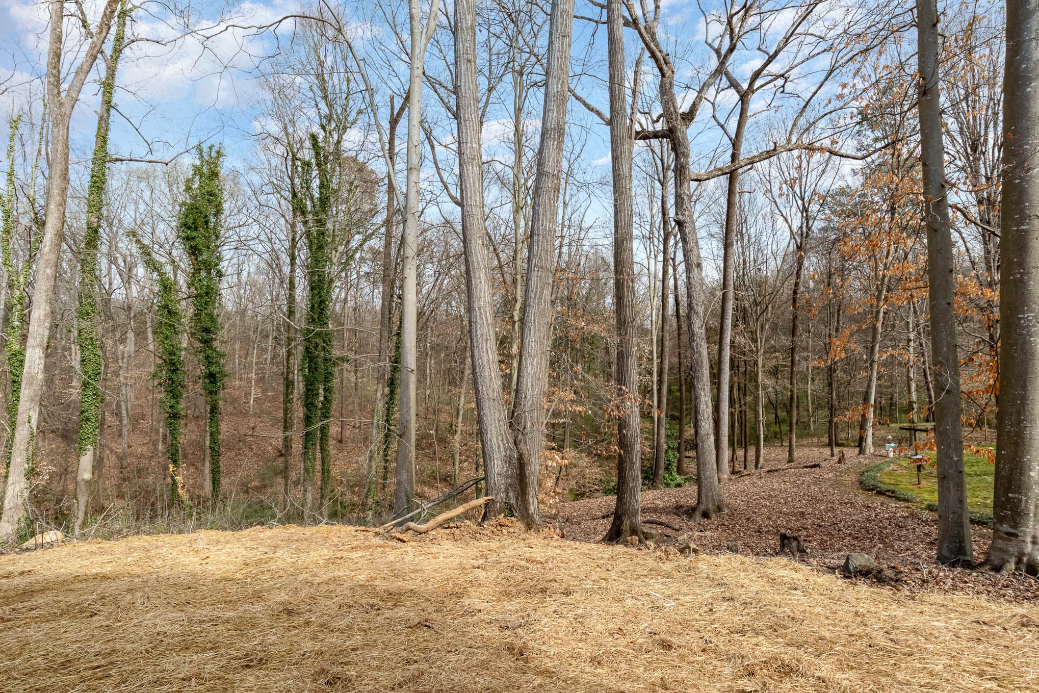 2117 Arapaho Dr - 26